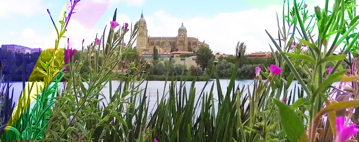summer_in_Salamanca